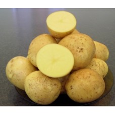 Картофель Гала 4 кг. 
