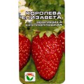 Земляника Королева Елизавета крупноплодная