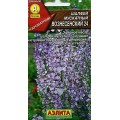 Шалфей мускатный Вознесенский 24
